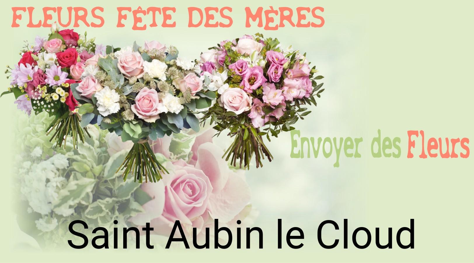 Bouquet de Fête des Mères livré à Saint-Aubin-le-Cloud